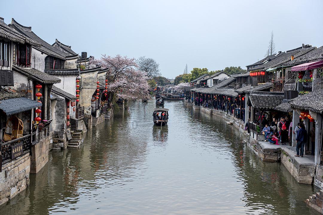 救援小白狼